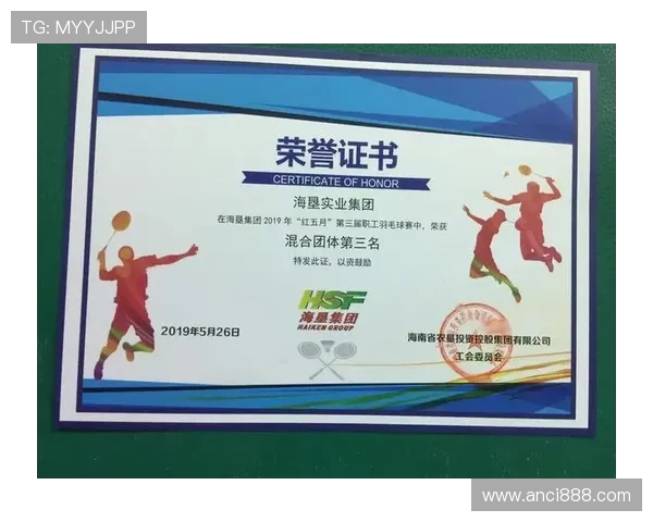 深圳羽毛球队战术分析:从比赛表现看团队协作与技术运用