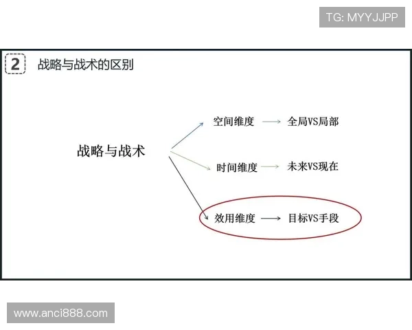深圳网球队的整体压制打法深度解析与战术优势探讨